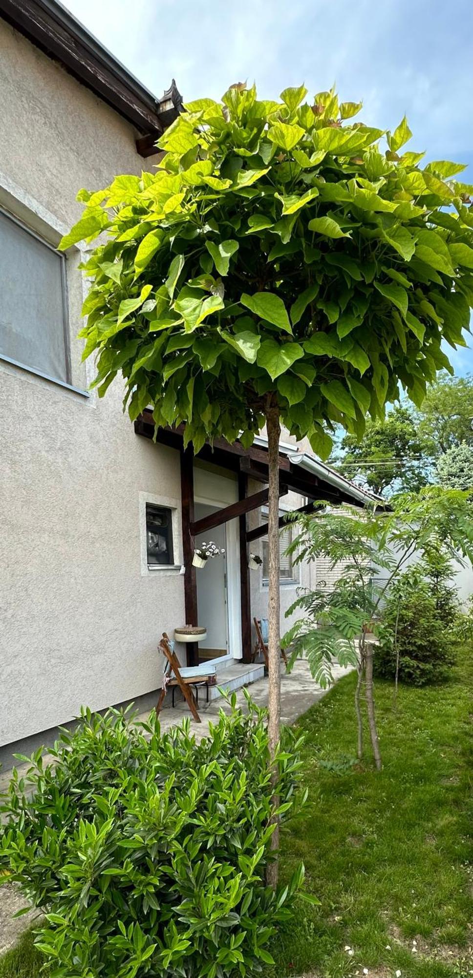 Day & Night Apartment Чуприя Экстерьер фото